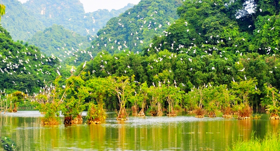 Day 5: Tam Coc - Thung Nham Bird Park - Bich Dong Cave - Hanoi (110km – 2h30) (Breakfast, Lunch)